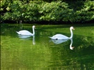 Stourhead Gardens